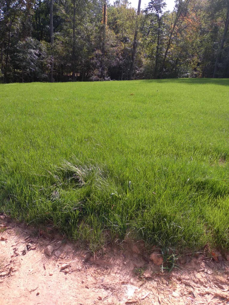 Hydroseeding project by Hydroseed NC